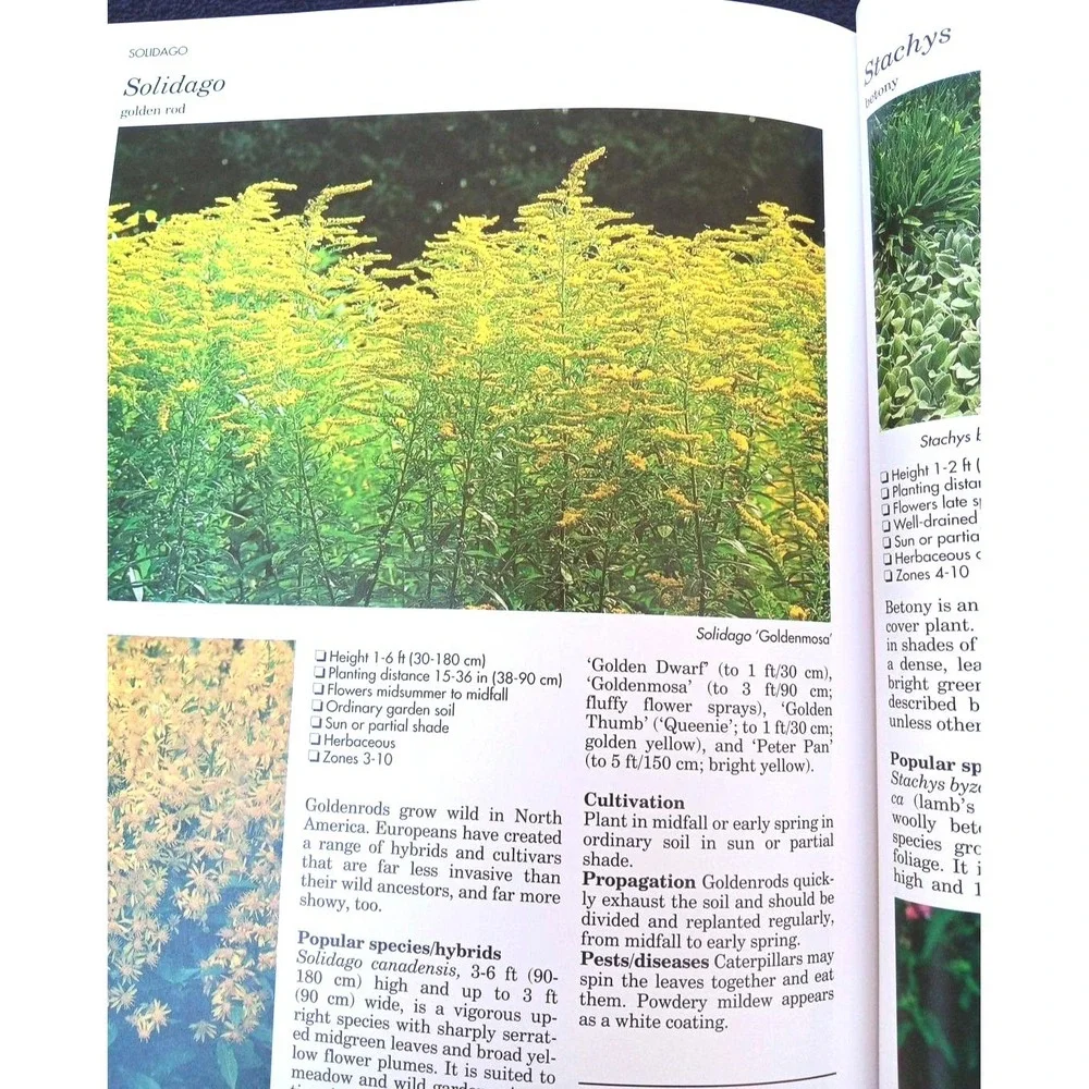 A–Z of Perennials – Reader's Digest Successful Gardening Series 1990, Hardcover‎